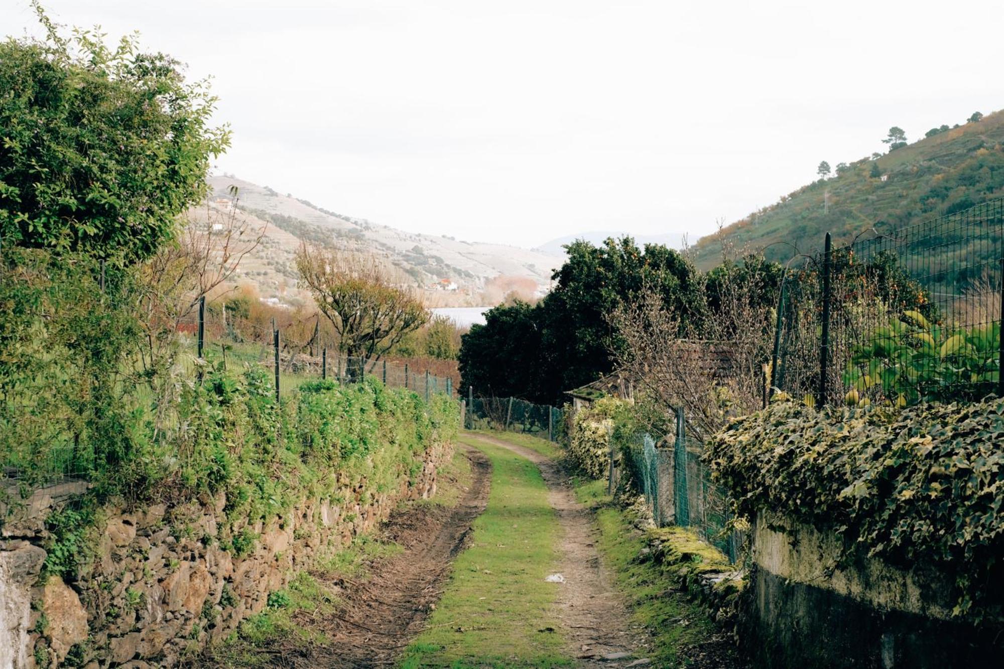 Quinta Das Casas - Douro Winery & Villas Vila Real Exterior foto